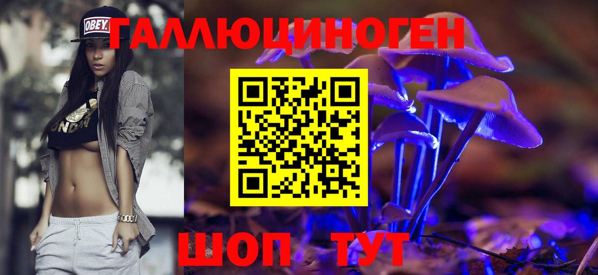 Галлюциногенные грибы Psilocybine cubensis  Вход с VPN  даркнет сайт  Кропоткин 