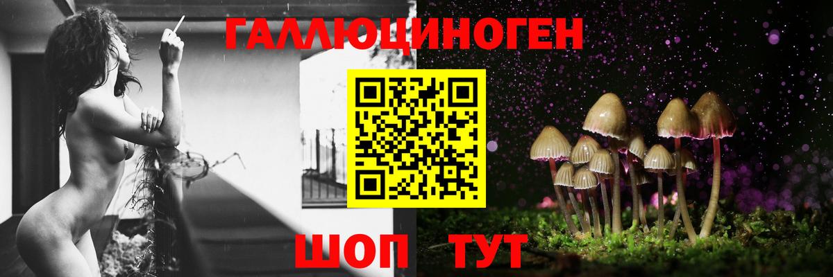 Галлюциногенные грибы Cubensis Кропоткин